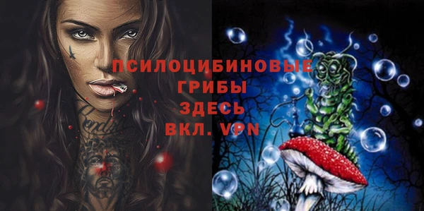 ГАЛЛЮЦИНОГЕННЫЕ ГРИБЫ Балабаново